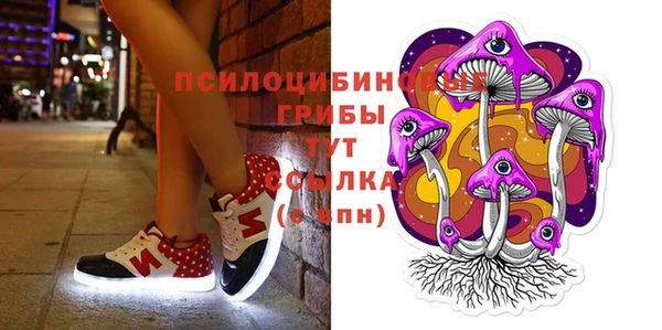 гидропоника Алексеевка