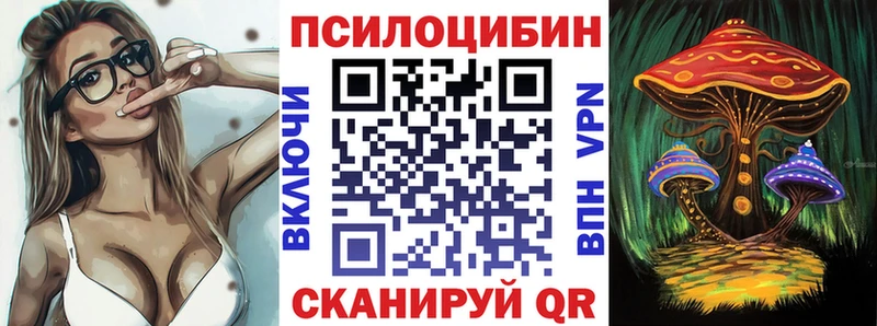 где купить наркоту  Бавлы  Псилоцибиновые грибы GOLDEN TEACHER 